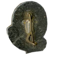 Значок Амангельды (вид 2)