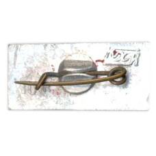 Значок Горький (вид 2)