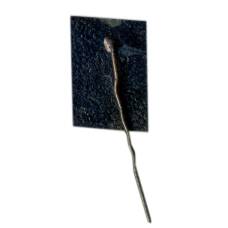 Значок Райнис (вид 2)