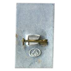 Значок Радищев (вид 2)