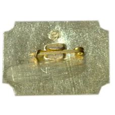 Значок Санкт-Петербург — Дворец-музей А.Д.Меншикова (вид 2)