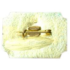 Значок Санкт-Петербург — Дворец-музей А.Д.Меншикова (вид 2)