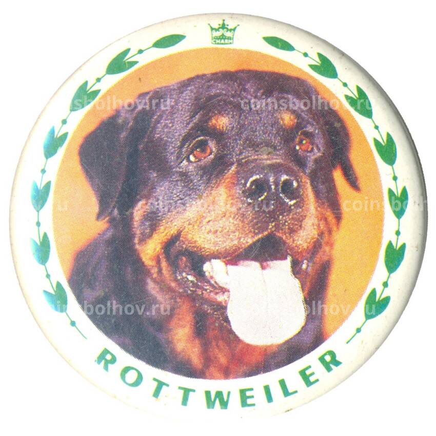 Значок Собака Ротвеллер