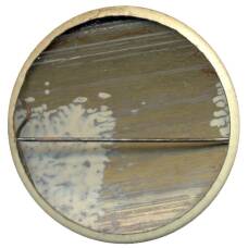 Значок клуб веселых человечков — Гурвинек (вид 2)