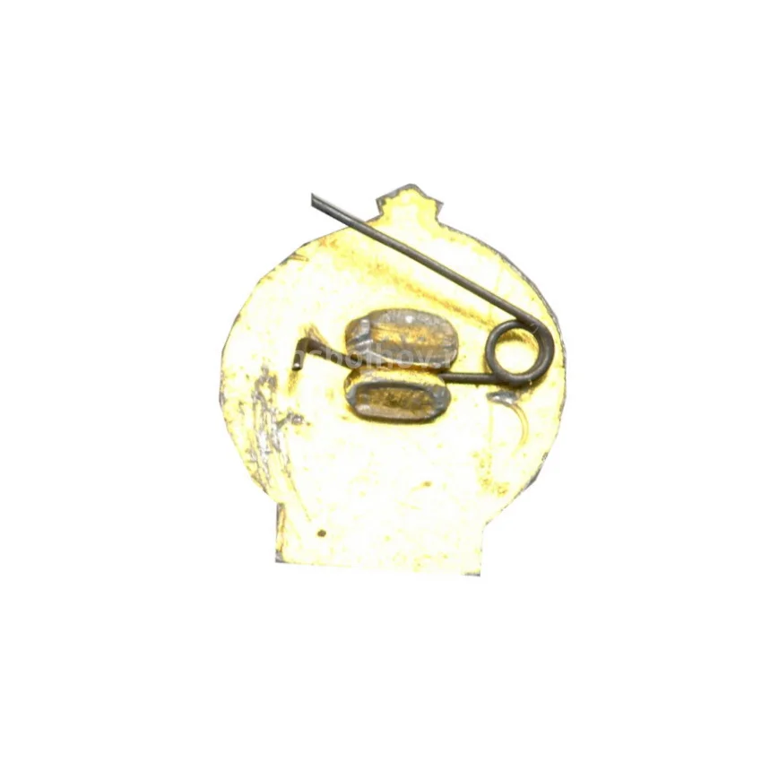 Значок Турист СССР (вид 2)