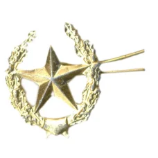 Значок эмблема петличная «Звезда»