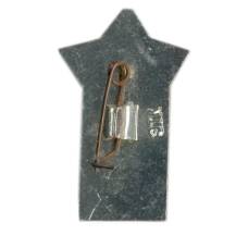 Значок 50 лет Советской Армии (вид 2)