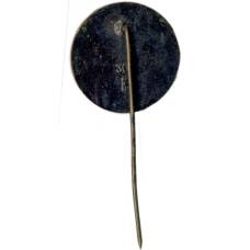 Значок Pига (вид 2)