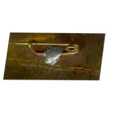 Значок Карпаты (вид 2)