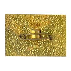 Значок Хмельницкий (вид 2)