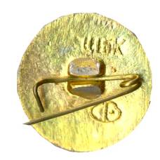 Значок Волгоград (вид 2)