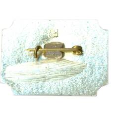 Значок Санкт — Петербург Дворец- музей А.Д.Меншикова (вид 2)