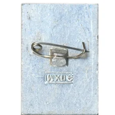 Значок Общество охраны памятников истории и культуры РСФСР (вид 2)