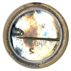 Значок Исследования и разработки в США (вид 2)