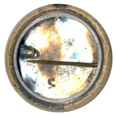 Значок Исследования и разработки в США (вид 2)