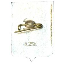 Значок Старая Русса (вид 2)