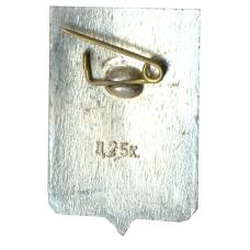 Значок Белозерск (вид 2)