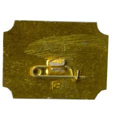 Значок Санкт-Петербург дворец-музей А.Д.Меншикова (вид 2)