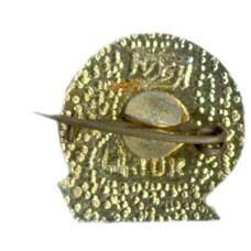 Значок Горький (вид 2)