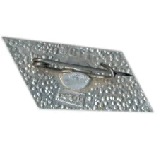 Значок Горький (вид 2)