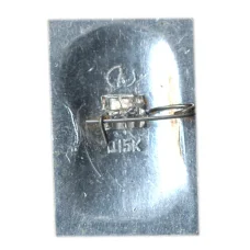 Значок Л.Н.Толстой (вид 2)