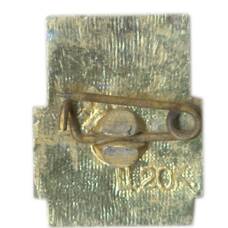 Значок Гомель (вид 2)