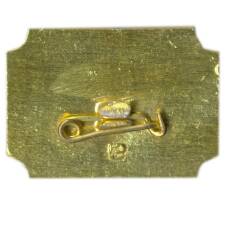 ЗначокСанкт-Петербург — дворец А.Д. Меншикова (вид 2)