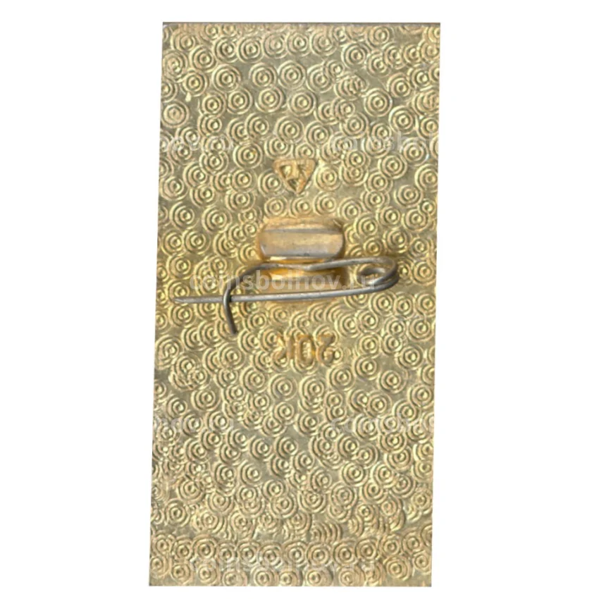 Значок Суздаль (вид 2)