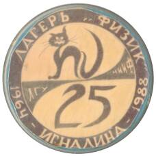 Значок Игналина — лагерь физик