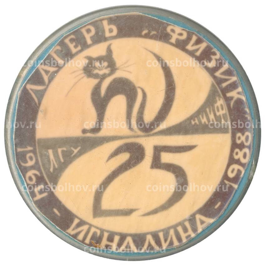 Значок Игналина — лагерь физик