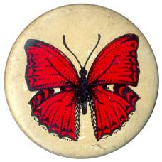 Значок Бабочка
