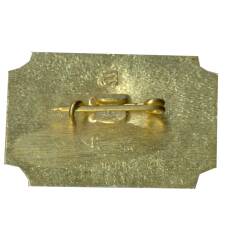 Значок Санкт-Петербург дворец-музей А.Д.Меншикова (вид 2)