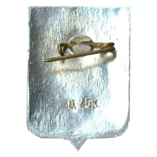 Значок Новгород (вид 2)