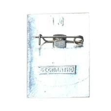 Значок Общество охраны памятников истории и культуры РСФСР (вид 2)