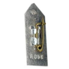 Значок Рига (вид 2)