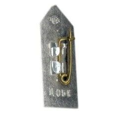 Значок Рига (вид 2)