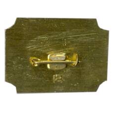 Значок Санкт-Петербург дворец-музей А.Д.Меншикова (вид 2)