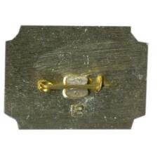 Значок Санкт-Петербург дворец-музей А.Д.Меншикова (вид 2)