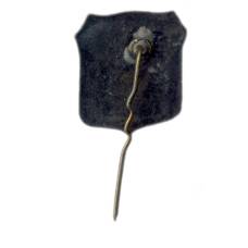 Значок Господин Великий Новгород (вид 2)