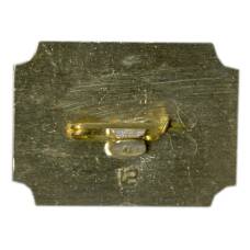 Значок Санкт-Петербург  дворец-музей А.Д.Меншикова (вид 2)