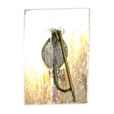 Значок Бахчисарай (вид 2)