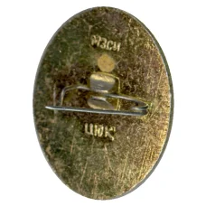 Значок Кусково (вид 2)