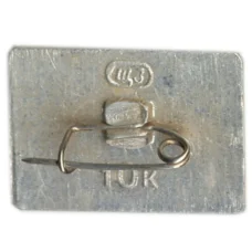 Значок Ленин -Кремль (вид 2)