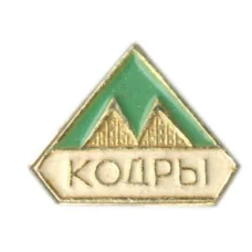 Значок Кодры