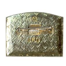 Значок Горький (вид 2)