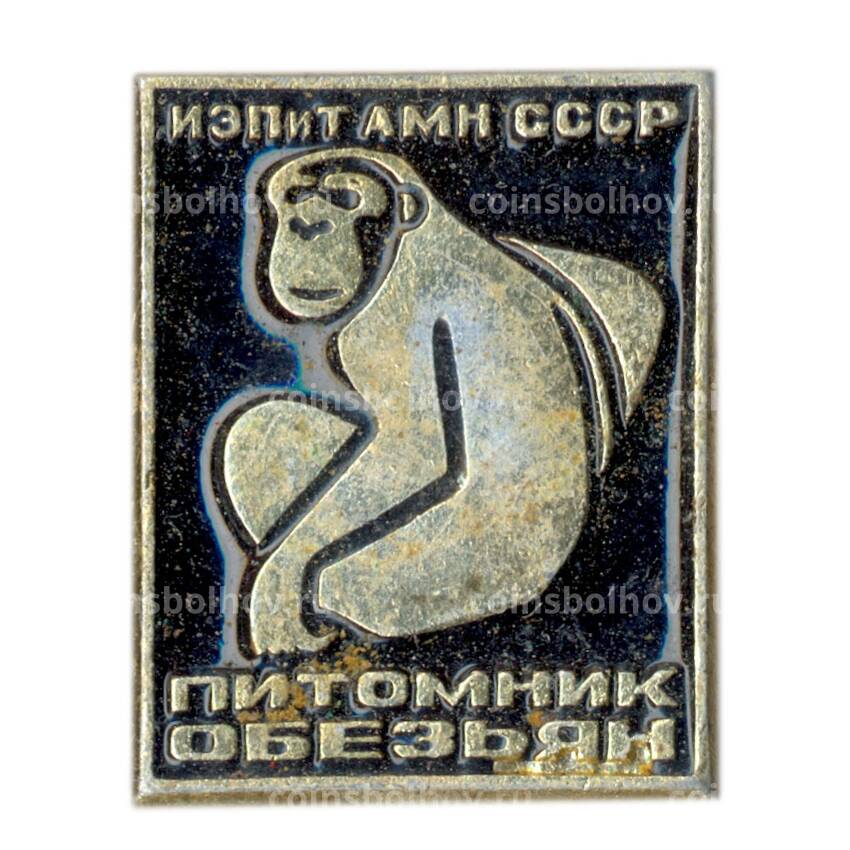 Значок ИЭПиТ АМН  СССР — питомник обезьян