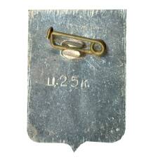 Значок Боровичи (вид 2)