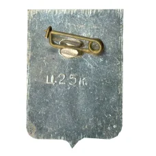 Значок Боровичи (вид 2)