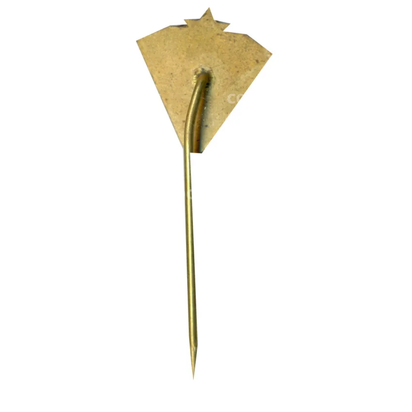 Значок рекламный Zilina (вид 2)