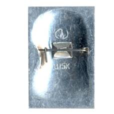 Значок Л.Н. Толстой (вид 2)